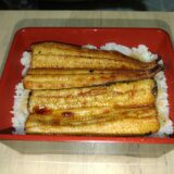 ウナギ釣り