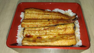 ウナギ釣り