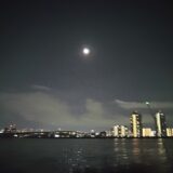 ウナギ釣り