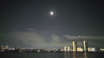 ウナギ釣り