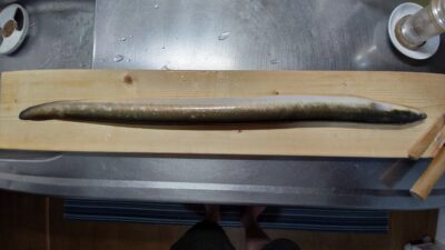 ウナギの調理